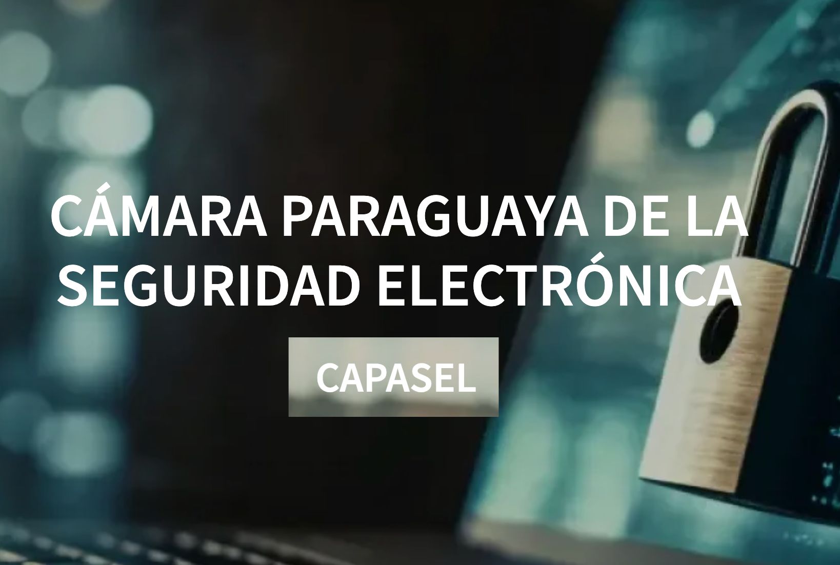 capasel infoseguridad